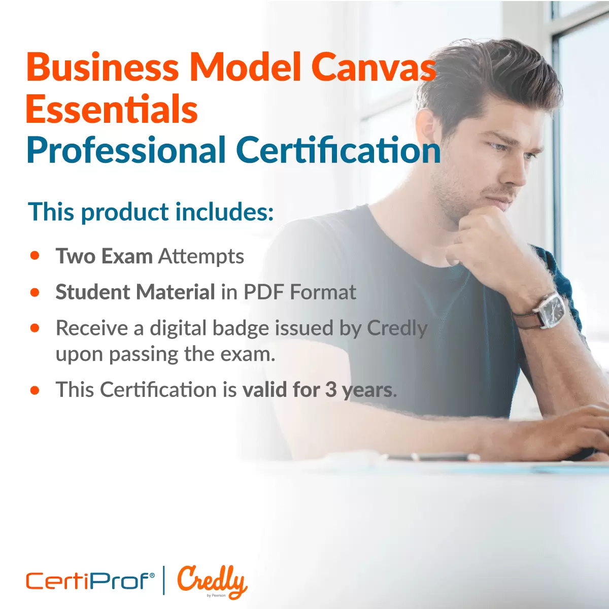 Business Model Canvas Professional Certificate  BMCPC - 0