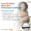 Content Description For Lean Six Sigma Black Belt Certification