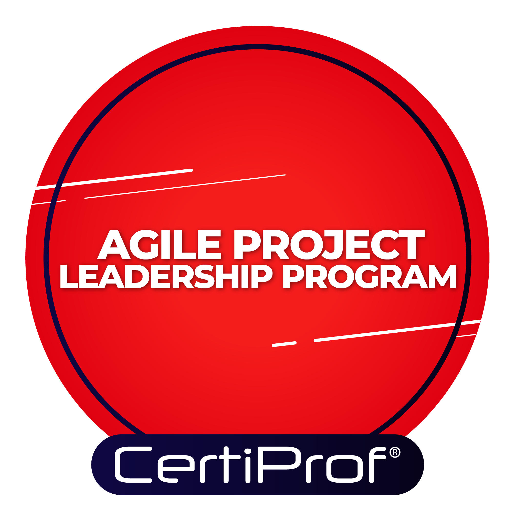 Agile Project Leadership Pack