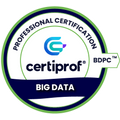 Certificado Profesional de Big Data (BDPC)