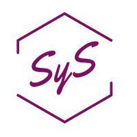 Desarrollo Profesional SyS